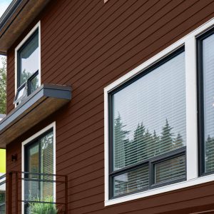 Wall Cladding C1006 WPC