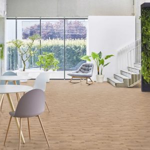 Tarkett Essence Rigid 55-Primary Oak-Lt Grey 120 (European)