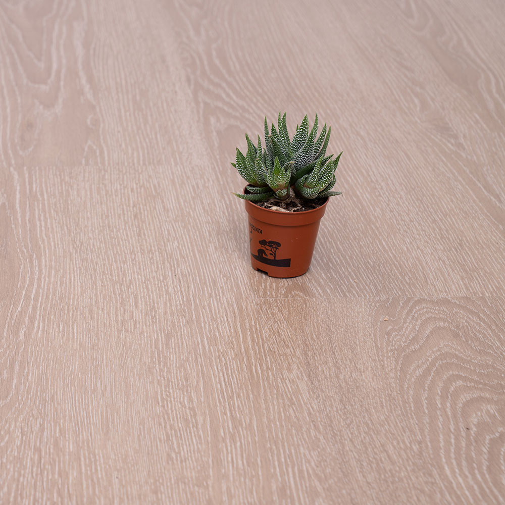 Pateel Parquet 2502 (Chinese)