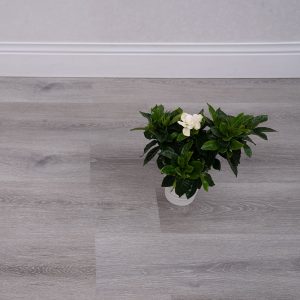 Pateel Parquet 2506 (Chinese)