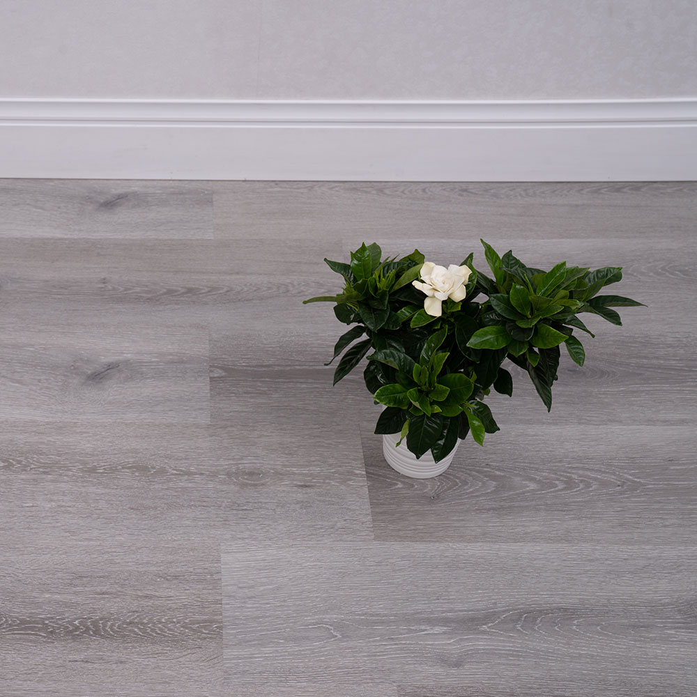 Pateel Parquet 2506 (Chinese)